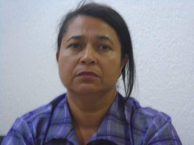 Maria Luiza , 43, divorciado(a), 4